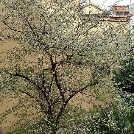 Couette-café La Locandiera Florence